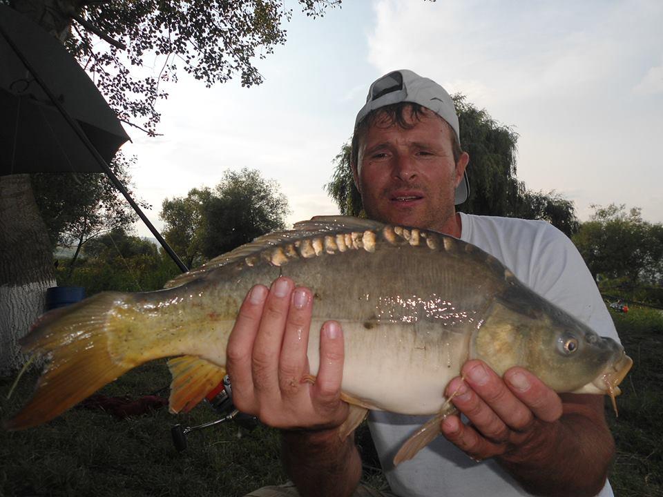 icn carp - 14515201386241531616253599549269n.jpg